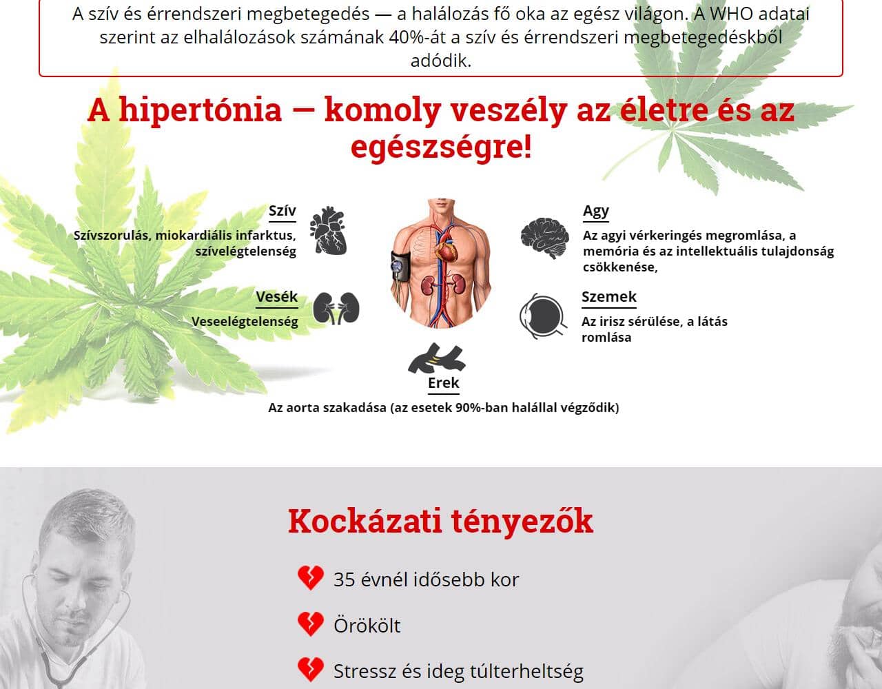 Cannabis Oil Hypertension 2